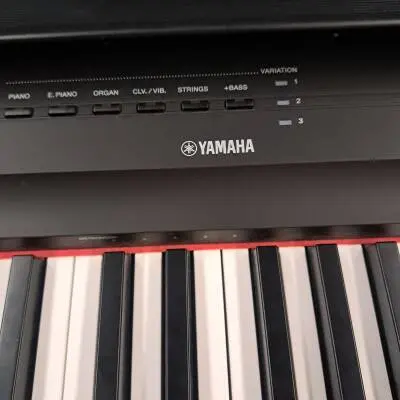 Store Special Product - Yamaha - P125 B